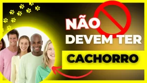 nem todo mundo deveria ter um cachorro